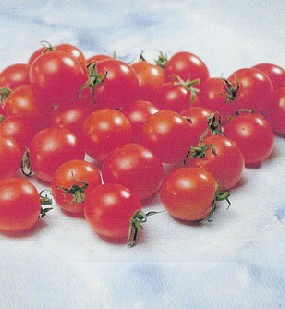 Mini tomatoes Made in Korea